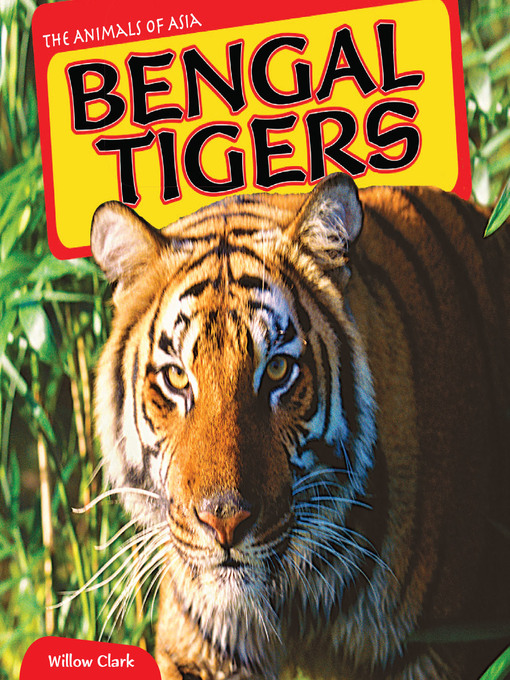 Title details for Bengal Tigers by Willow Clark - Available